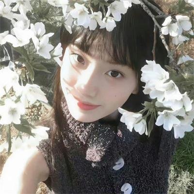 卧虎藏龙